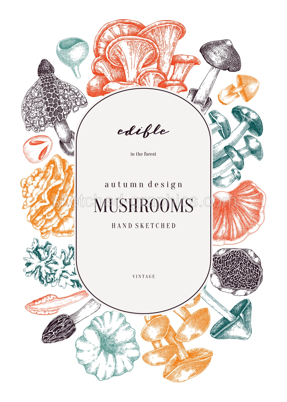Forest mushrooms background. Edible mushrooms frame, vinatge card design. Fungi, healthy food, vegan product sketches. Autumn hand-drawn vector illustration. Engraved style design template Illustration
